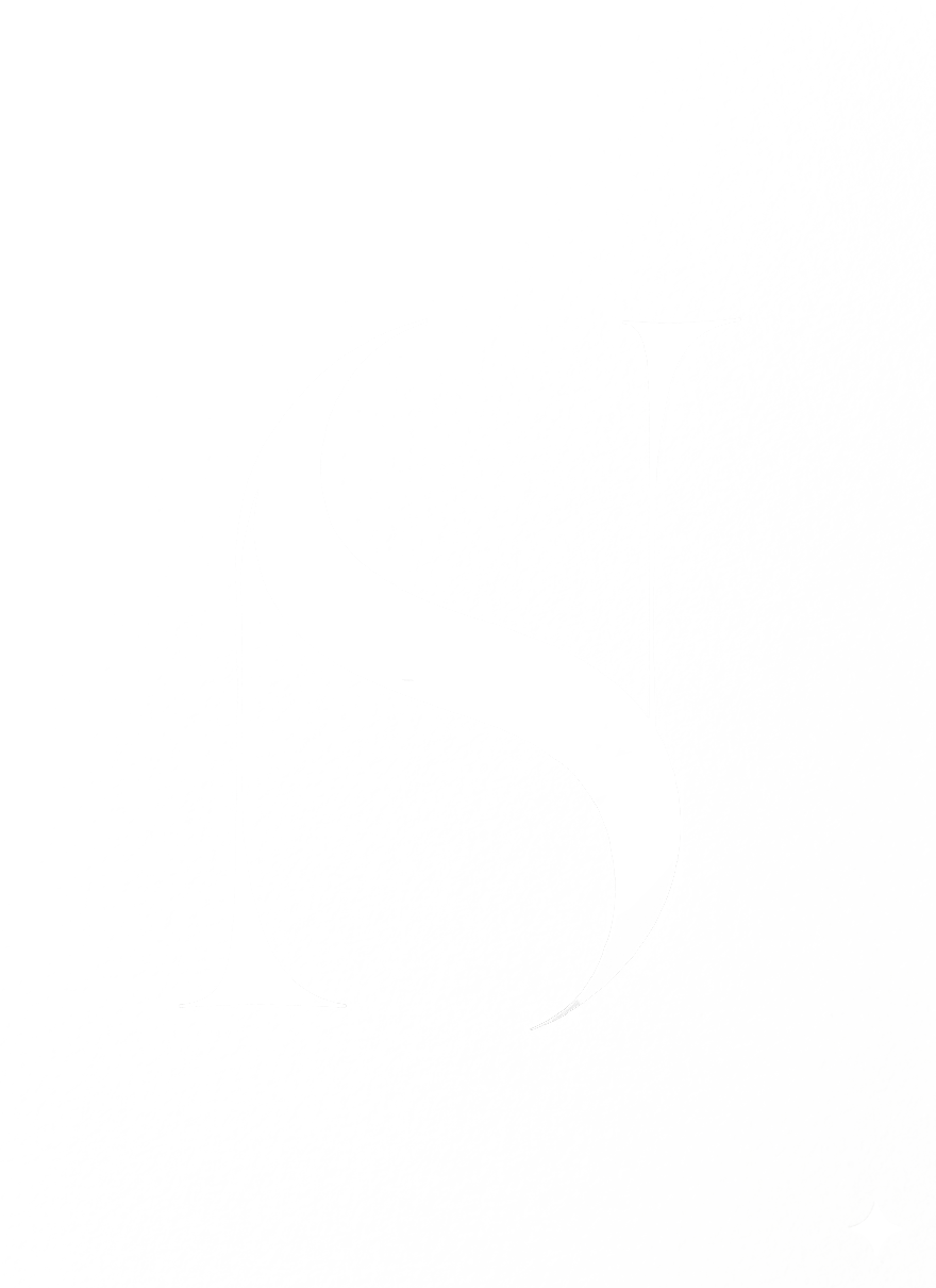 North South Architects logo